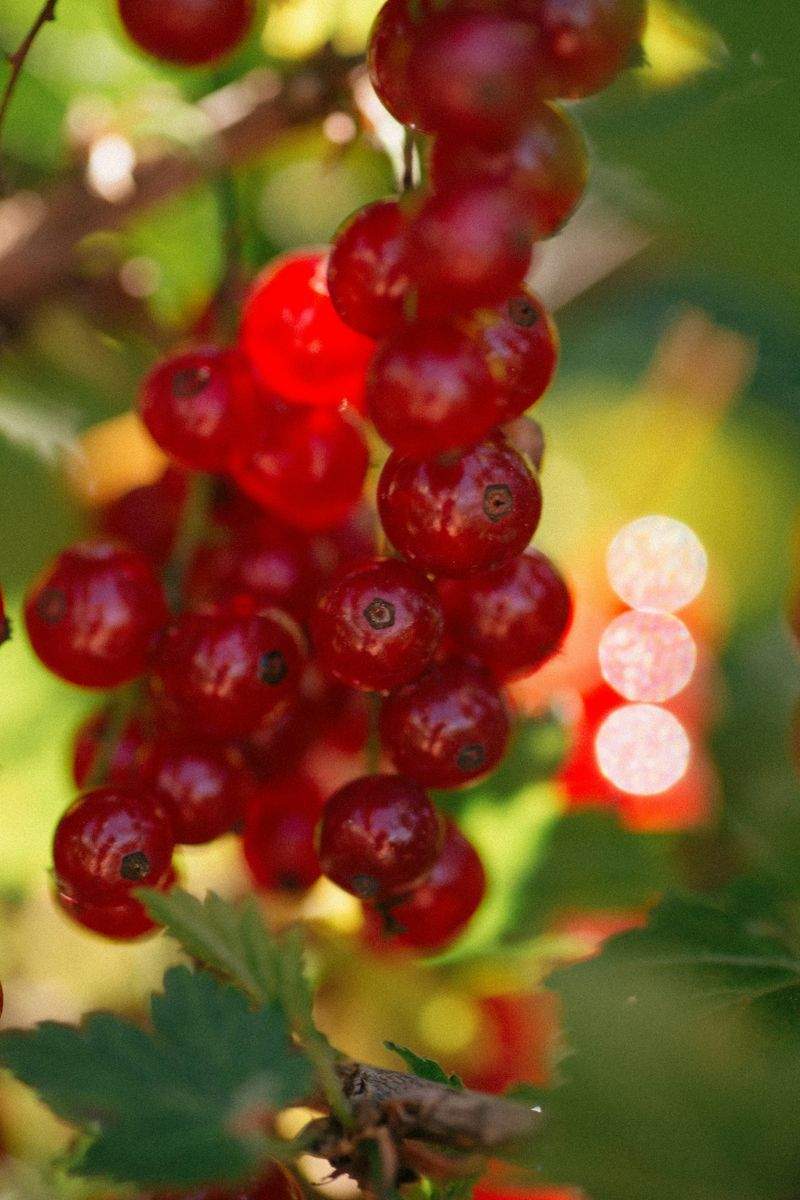 VitalKraft Fitness - Image 13